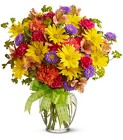 Make a Wish In Waterford Michigan Jacobsen's Flowers