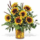 Sunrise Sunflowers