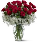 Two Dozen Red Roses