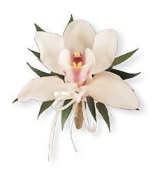 Cymbidium Orchid Corsage In Waterford Michigan Jacobsen's Flowers