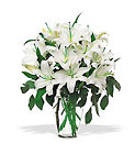 Perfect White Lilies