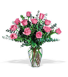 Beautiful Pink Roses