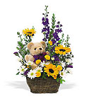 New Baby Basket & Bear In Waterford Michigan Jacobsen's Flowers