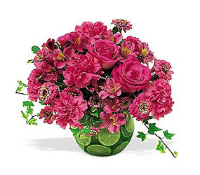 Hot Pink with Limes