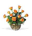 Diamond Bowl Rose Arrg