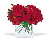 Ravishing Red Cube