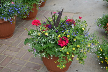 Patio Porch Planter