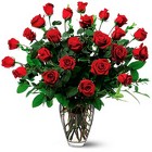 2 Dozen Long Stem Red Roses