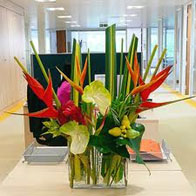 Corporate Sales Information - Jacobsen's Flowers and Gifts