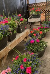 Premium Patio Porch Planter In Waterford Michigan Jacobsen's Flowers