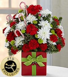  Holiday Cheer Bouquet In Waterford Michigan Jacobsen's Flowers