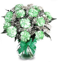 St. Patrick's Green Carnation Bouquet In Waterford Michigan Jacobsen's Flowers