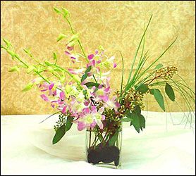 SIMPLY ORCHIDS In Waterford Michigan Jacobsen's Flowers