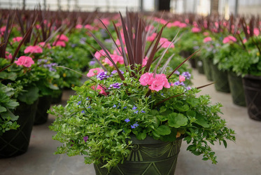 Outdoor Deluxe Patio Planters In Waterford Michigan Jacobsen's Flowers