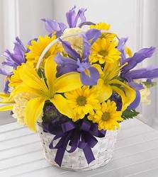 Spirit of Spring Basket In Waterford Michigan Jacobsen's Flowers