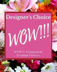 Designer's Choice - WOW! In Waterford Michigan Jacobsen's Flowers