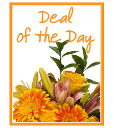 Deal of the Day In Waterford Michigan Jacobsen's Flowers