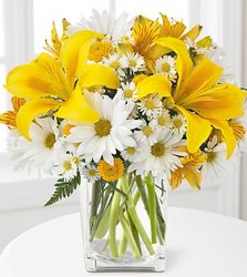Come Rain or Come Shine In Waterford Michigan Jacobsen's Flowers