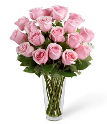 18  Long Stem Pink Roses In Waterford Michigan Jacobsen's Flowers