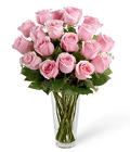 Dozen Long Stem Pink Roses In Waterford Michigan Jacobsen's Flowers