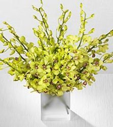 Gorgeous and Green In Waterford Michigan Jacobsen's Flowers