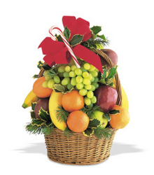 Holiday Fruit Basket w/Candy Cane In Waterford Michigan Jacobsen's Flowers