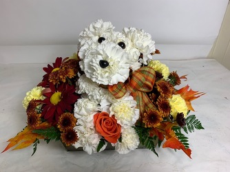 Sweet Puppy Love In Waterford Michigan Jacobsen's Flowers