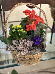 Blooming Garden Basket - flowering plants will vary* In Waterford Michigan Jacobsen's Flowers