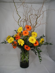 Glorious Gerbera  In Waterford Michigan Jacobsen's Flowers