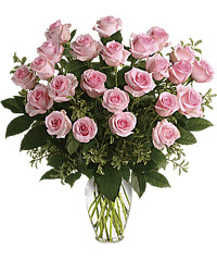 2 DOZEN LONG STEM  ROSES - CHOICE OF COLOR* In Waterford Michigan Jacobsen's Flowers