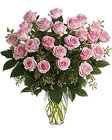 2 DOZEN LONG STEM  ROSES - CHOICE OF COLOR* In Waterford Michigan Jacobsen's Flowers