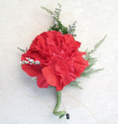 Single carnation boutonnierre In Waterford Michigan Jacobsen's Flowers
