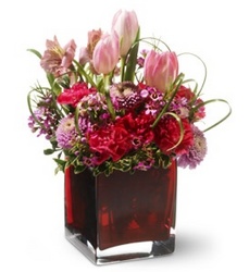 Sweet Surrender In Waterford Michigan Jacobsen's Flowers