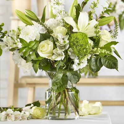 Classic Ivory