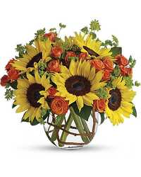 Sunny Sunflowers In Waterford Michigan Jacobsen's Flowers