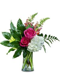 Snappy Birthday In Waterford Michigan Jacobsen's Flowers