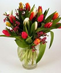 Spring Tulips Bouquet In Waterford Michigan Jacobsen's Flowers