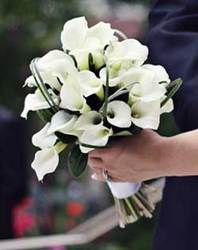  White Mini Calla Lily Bouquet In Waterford Michigan Jacobsen's Flowers