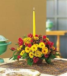 Thanksgiving Centerpiece with taper candle In Waterford Michigan Jacobsen's Flowers