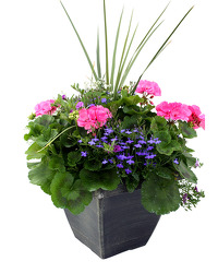 Outdoor Patio Planter  In Waterford Michigan Jacobsen's Flowers