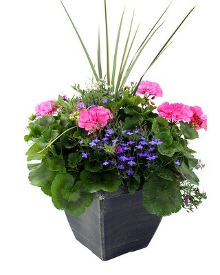  Beautiful  Patio Planters