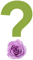 Design of the Day  In Waterford Michigan Jacobsen's Flowers