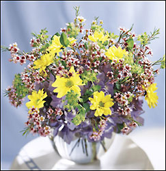 Fresh as a Daisy Bouquet In Waterford Michigan Jacobsen's Flowers