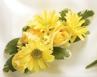 Sunglow Corsage In Waterford Michigan Jacobsen's Flowers