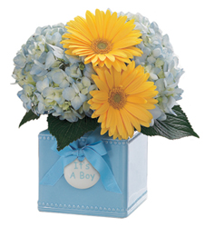 Sweet Dreams Bouquet - Boy In Waterford Michigan Jacobsen's Flowers