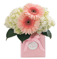 Sweet Dreams Bouquet - Girl In Waterford Michigan Jacobsen's Flowers