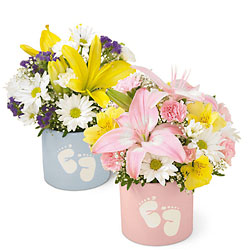 Sweet Dreams Footprints Bouquet In Waterford Michigan Jacobsen's Flowers