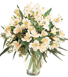 Love and Elegance Bouquet In Waterford Michigan Jacobsen's Flowers