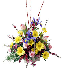  Friendly Welcome Arrangement In Waterford Michigan Jacobsen's Flowers