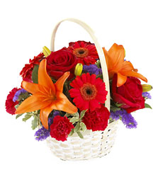 Fun in the Sun Basket In Waterford Michigan Jacobsen's Flowers